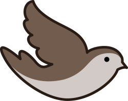Hà Nội,bird, chim