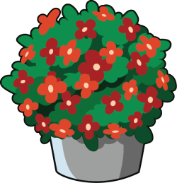 Chợ Tết, Hoa, flowers, 2