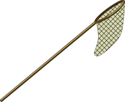 Câu cá, fishing racket, vợt câu cá,fishing