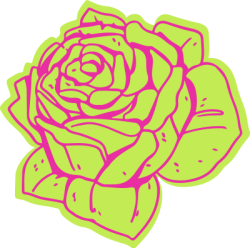 rose, hoa hồng, hoa, flower