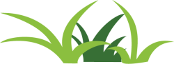 Cỏ, grass, bụi cỏ