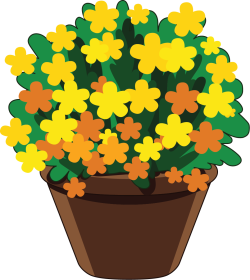 hoa, flowers 1