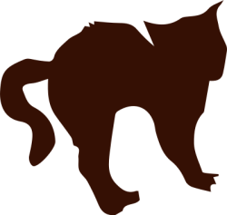 Mèo, cat, halloween