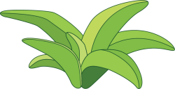 cỏ, lawn
