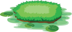 cỏ, lawn