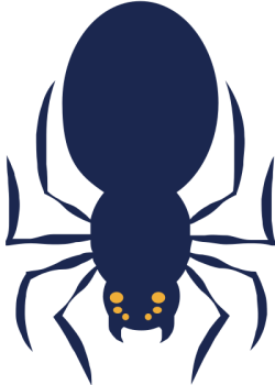 halloween, con nhện,spider