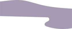 Shape, mảng, mảng màu