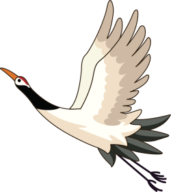 Con cò, Bird