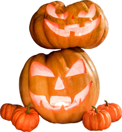Halloween, bí ngô, bí, bí đỏ, pumpkin