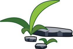 Đá, rock, cỏ, grass