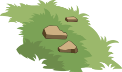 bãi cỏ, lawn, grass