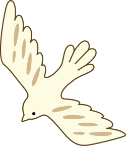 chim, bird