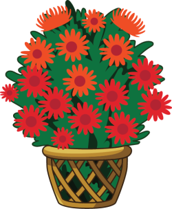 Chậu hoa, flower, hoa cúc