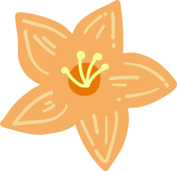 Hoa, flower