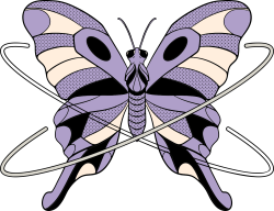 Bướm, butterfly, y2k