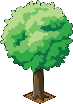 Sài Gòn, cây, tree