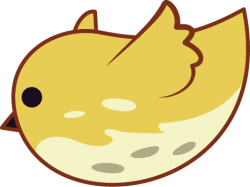 Chim, bird