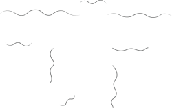 line, đường nét