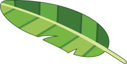 Lá chuối, banana, chuối