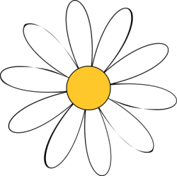 daisy, hoa cúc, hoa, flower