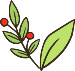 Lá, lá cây, cỏ, leaf, grass
