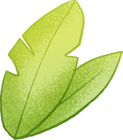 Cỏ, grass, lá, leaf