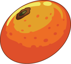 quả quýt, tangerine