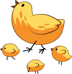 flock of chickens, đàn gà