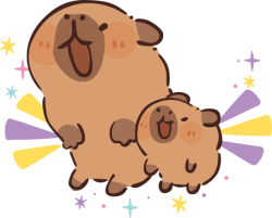 Capybara, chuột lang nước