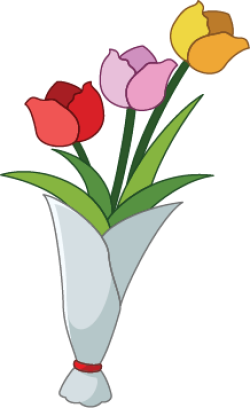 Hoa, hoa tulip, tulip, flower, bó hoa
