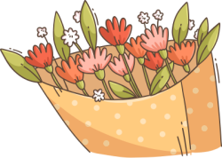 hoa, flowers