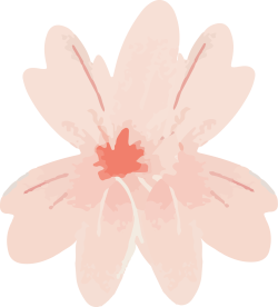 hoa, flower