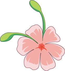 hoa đào, peach blossom