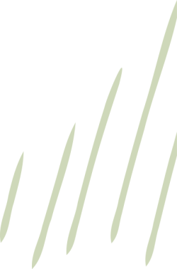 Line, đường, đường kẻ