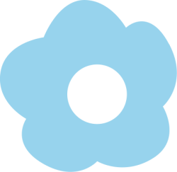 flower, hoa
