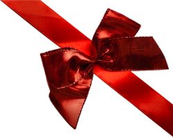 bow, nơ