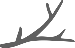 trang trí, decor, noel, giáng sinh, tuần lộc, reindeer