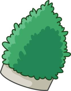 Cây, tree, chậu cây
