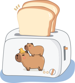 Capybara, chuột lang nước, bánh mì, sandwich