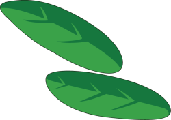 lá, leaf