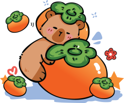 Capybara, chuột lang nước