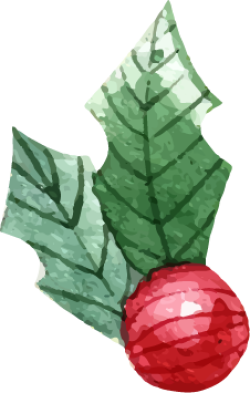Giáng sinh, noel, xmas, christmas, lá nhựa ruồi, quả mọng, lá, leaf