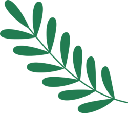 Lá, leaf, giáng sinh, christmas