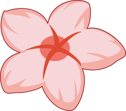 hoa đào,  peach blossom