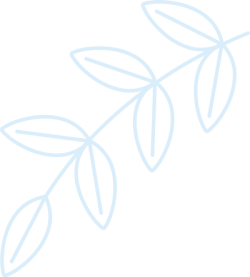 Lá, leaf, giáng sinh, christmas, noel