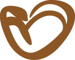 tim, heart