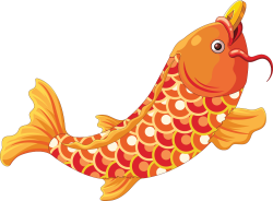 cá chép, carp