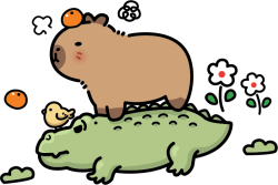 Capybara, chuột lang nước