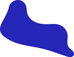 Shape, mảng, mảng màu