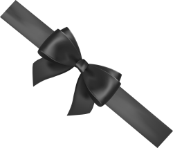bow, nơ
